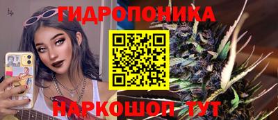 ГАЛЛЮЦИНОГЕННЫЕ ГРИБЫ Гай