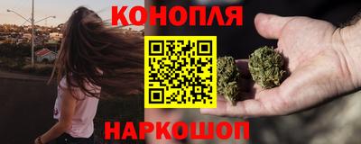 соль ск Гатчина