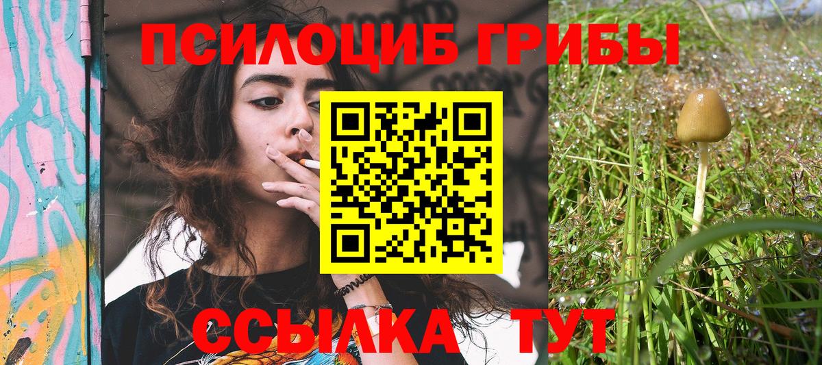 Севастополь  Псилоцибиновые грибы GOLDEN TEACHER  дарнет шоп  Вход с VPN 