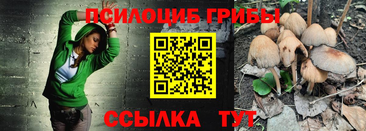 Галлюциногенные грибы Cubensis Севастополь